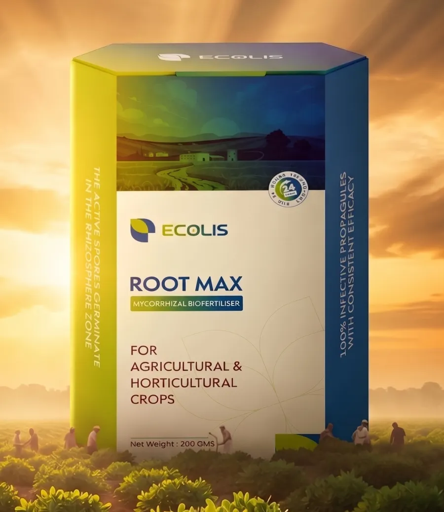  Root Max